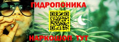 МДПВ Славгород