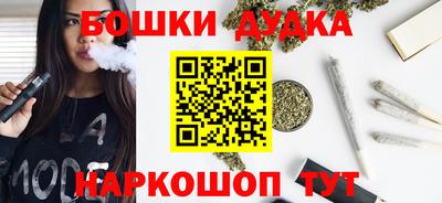 МДПВ Славгород