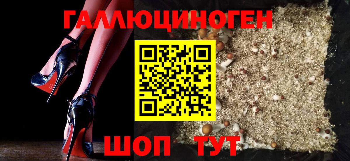 Галлюциногенные грибы MAGIC MUSHROOMS Саянск