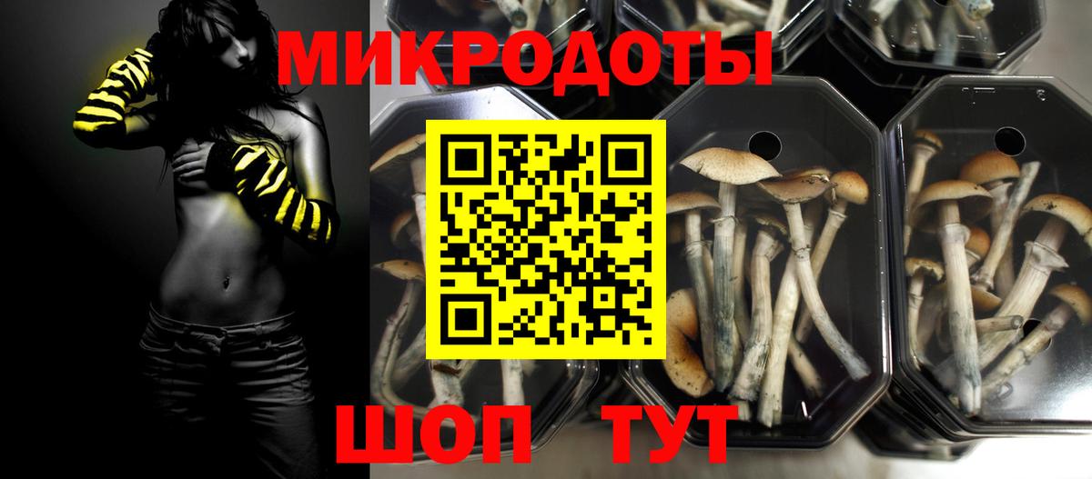 где купить   Вход с VPN  Саянск  Галлюциногенные грибы прущие грибы 